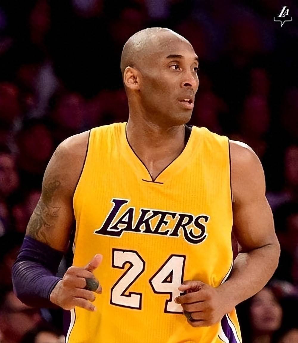 开赛！桐庐上演马术“巅峰对决”（赛事打响！桐庐上演马术巅峰之战）